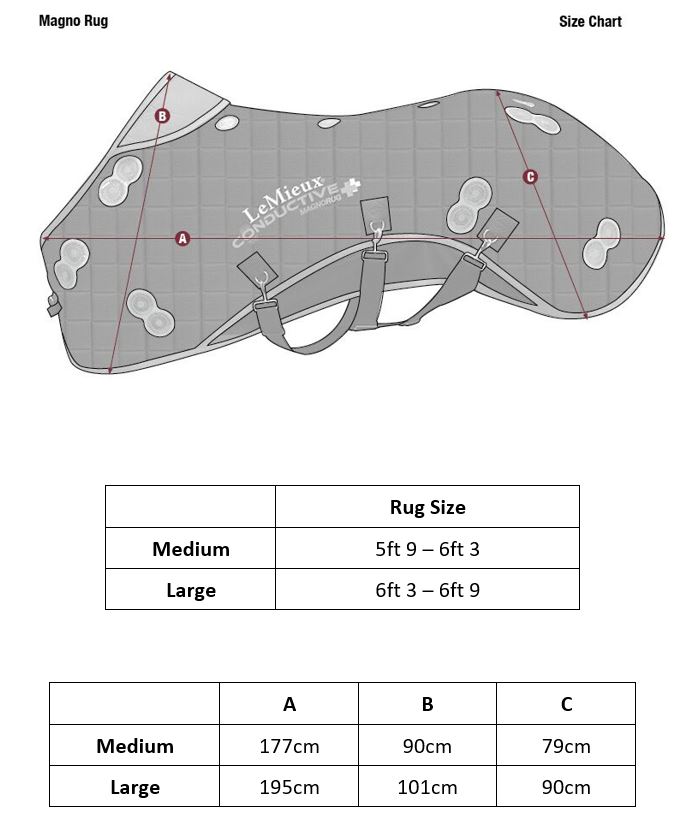 Magno Rug Size Guide